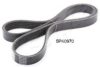 ASHIKA 112-5PK970 V-Ribbed Belts